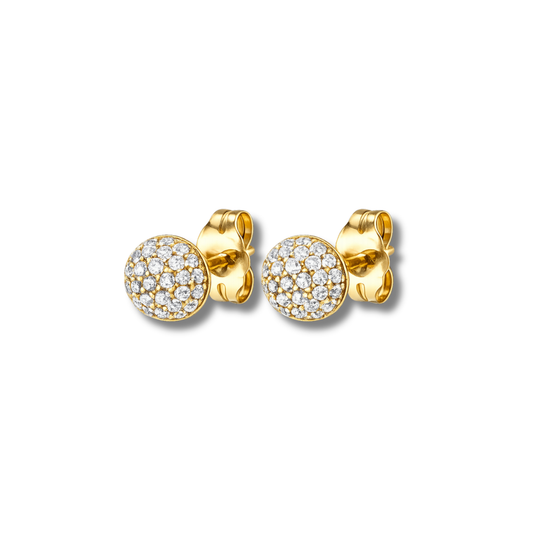 Sparkly Stud Earrings